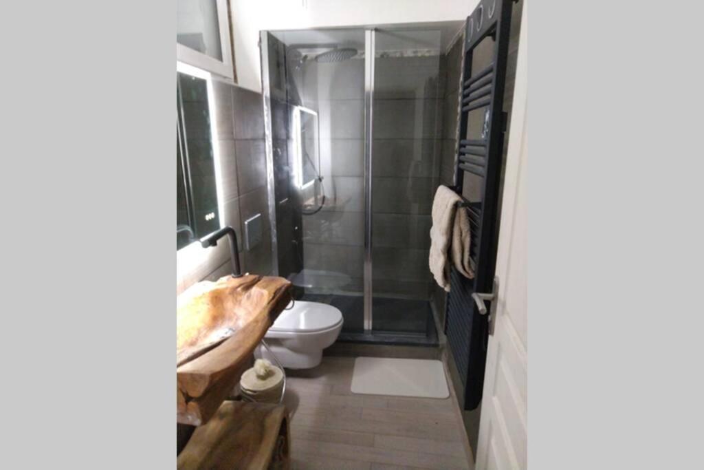 Saint-Étienne-de-Tinée Chaleureux Petit Appartement De 4 Couchages מראה חיצוני תמונה